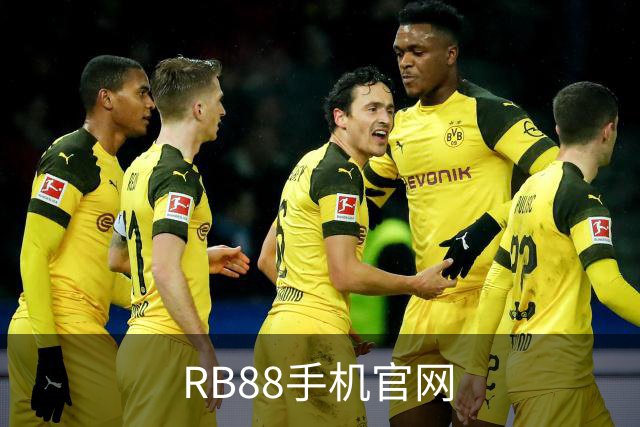 RB88手机官网公司形象图